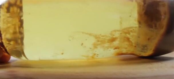 可樂牛奶混在一起如此恐怖？真相了